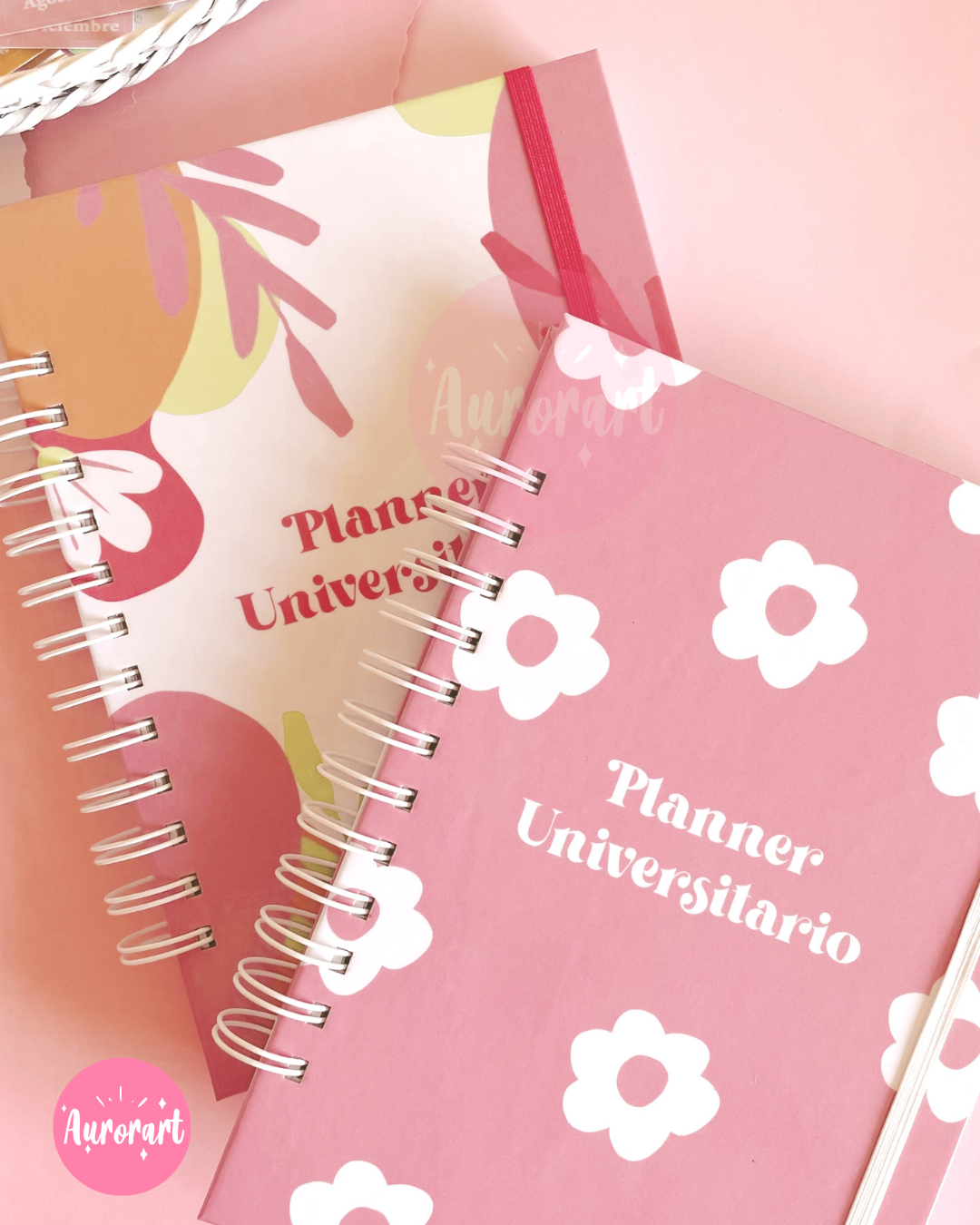 Planner universitario