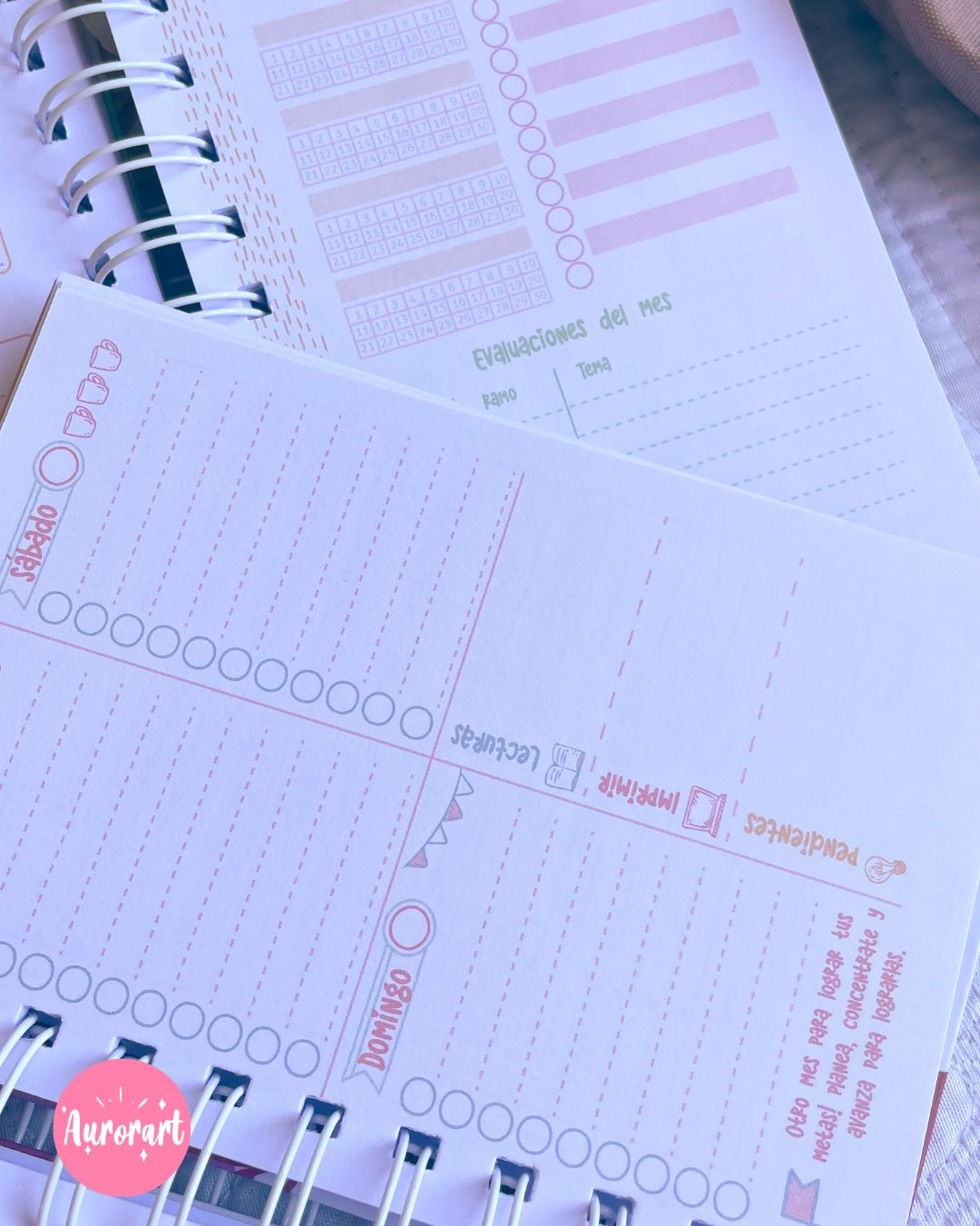 Planner Universitario mini 2026